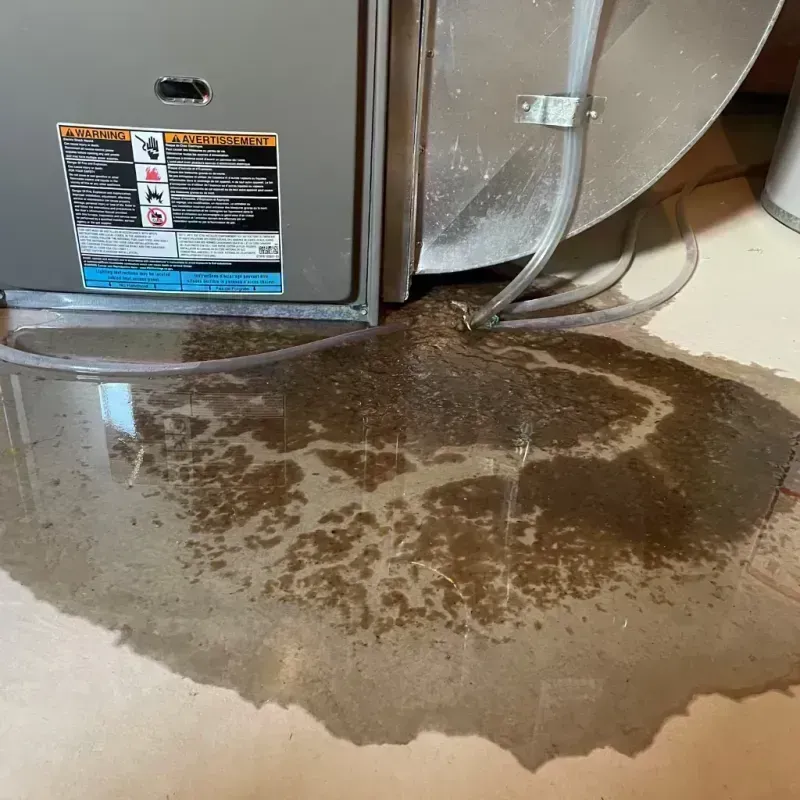 Appliance Leak Cleanup in Bonham, TX